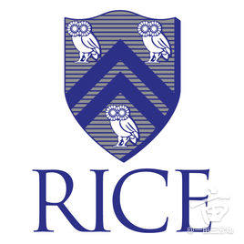rice.jpg